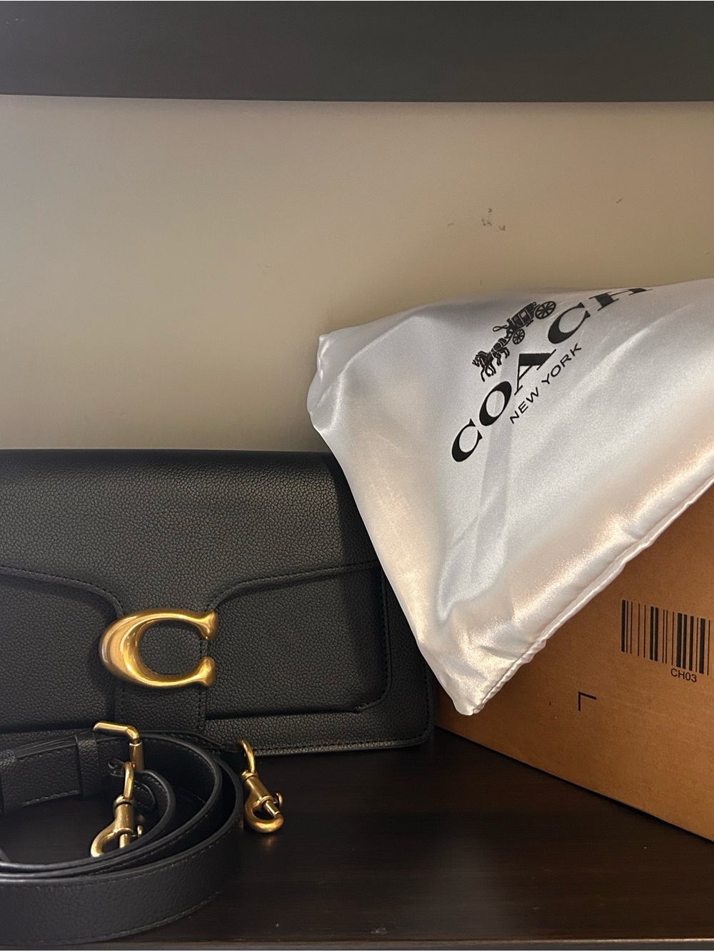 Tabby Coach Bag